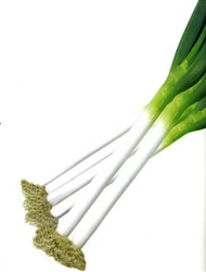 ????????С??????????